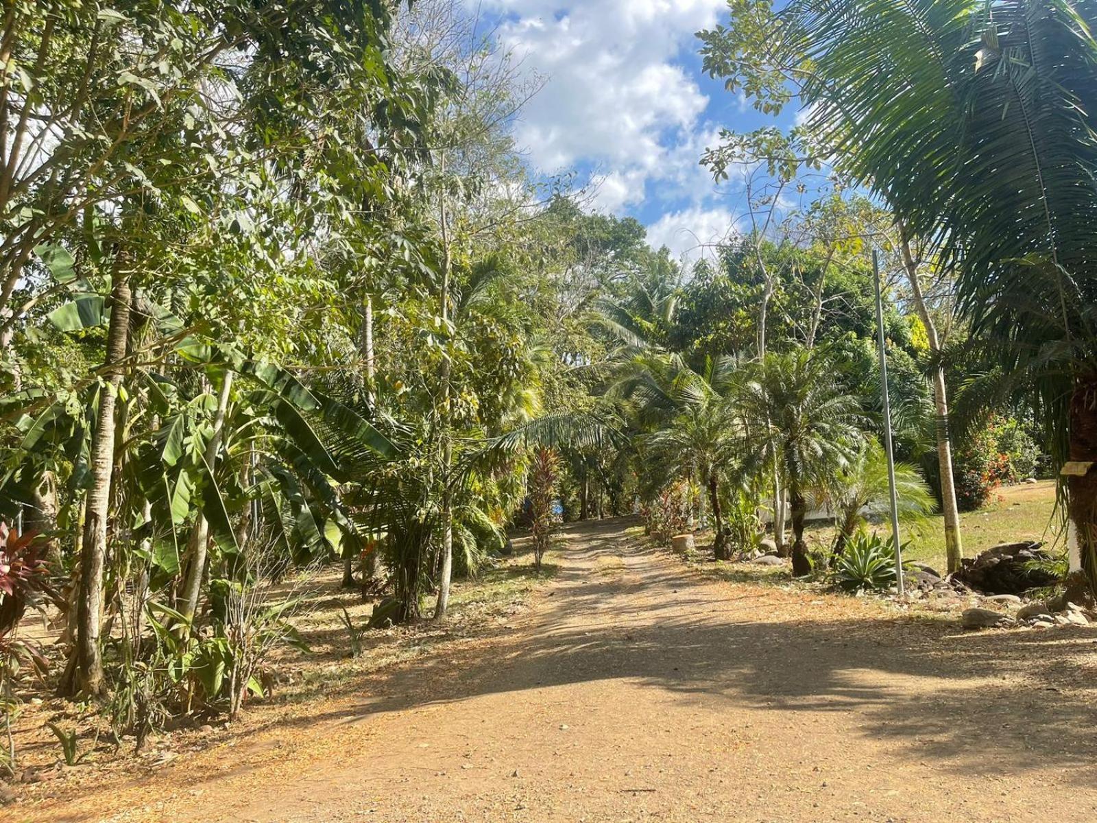 Macaw Paradise Jaco Ngoại thất bức ảnh