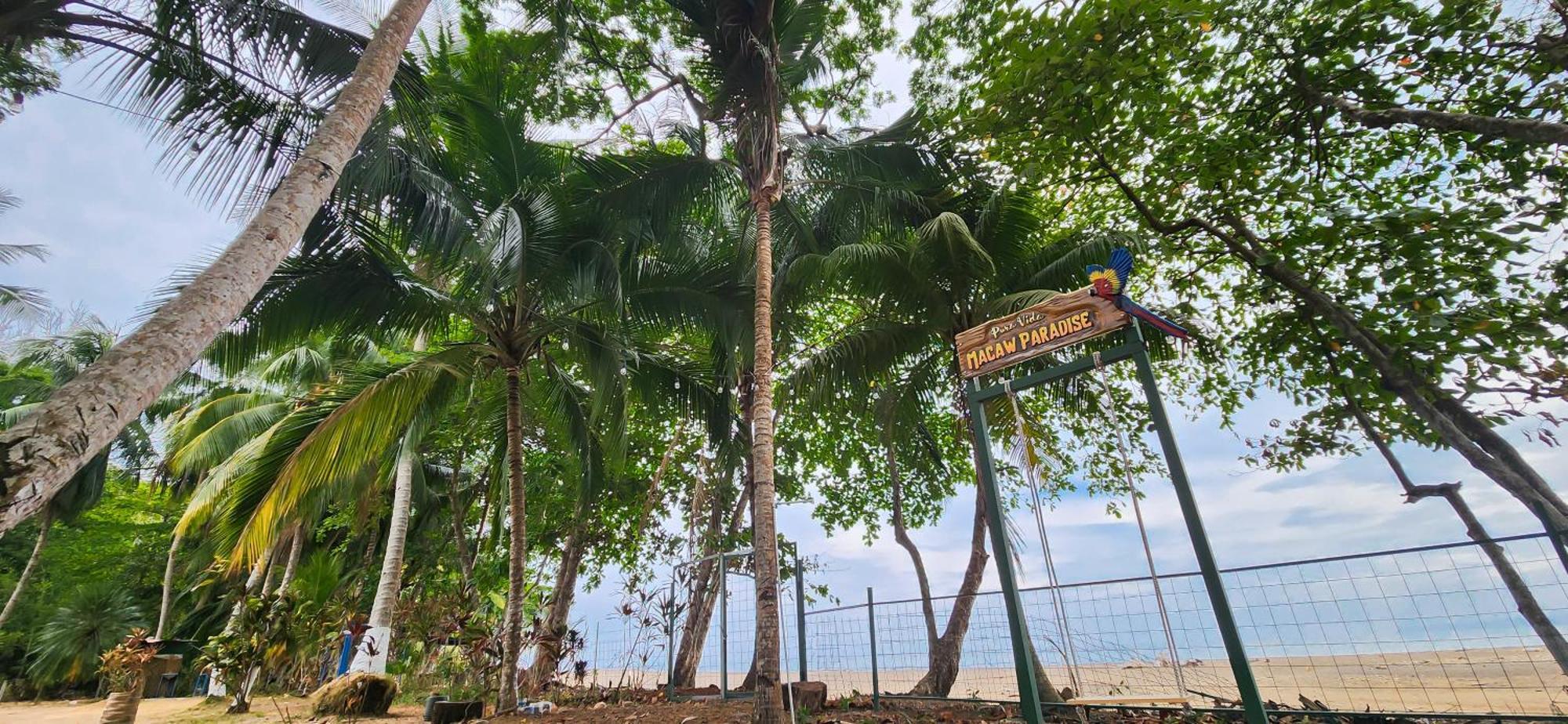 Macaw Paradise Jaco Ngoại thất bức ảnh